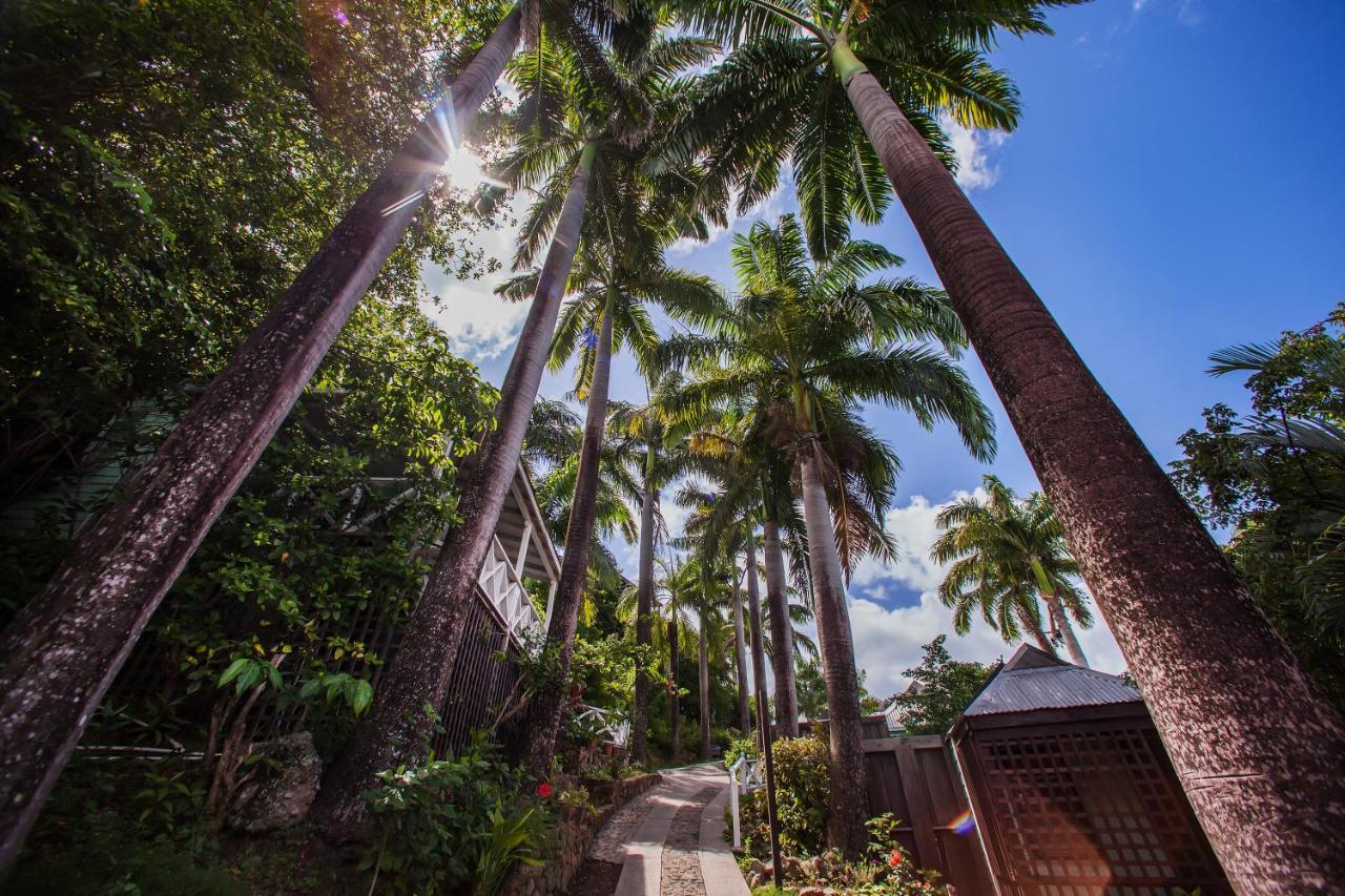 Cocos Hotel Antigua (Adults Only) Bolands Exteriér fotografie